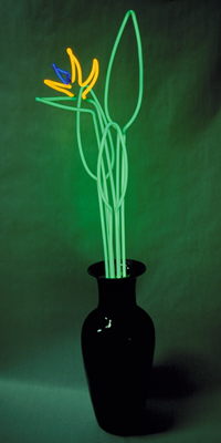 bird of paradise neon art