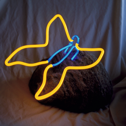 buttrefly neon art