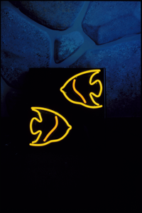 fish neon art